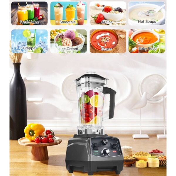 1 BioloMix T5200 3HP 2200W Timer Blender 519984 3